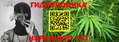 шишки Комсомольск-на-Амуре