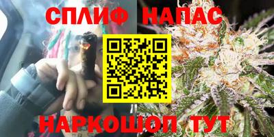 гашик Коммунар