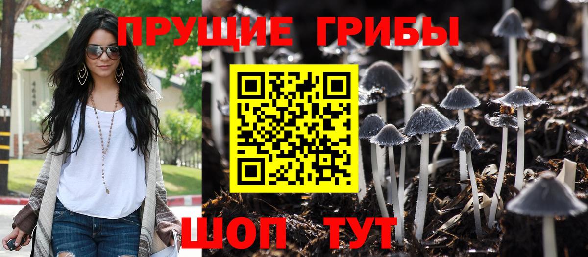 Галлюциногенные грибы прущие грибы Камень-на-Оби