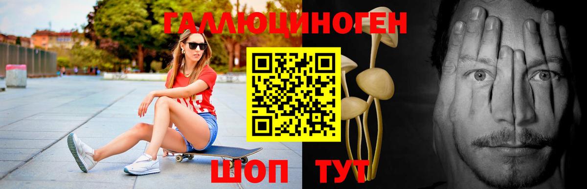 Камень-на-Оби  Псилоцибиновые грибы ЛСД  Вход с VPN 
